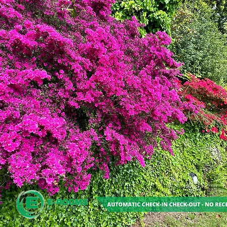 E-rooms Maison d'hôtes 3*