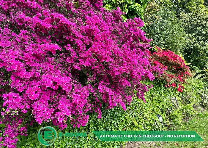 E-rooms 게스트하우스 3*